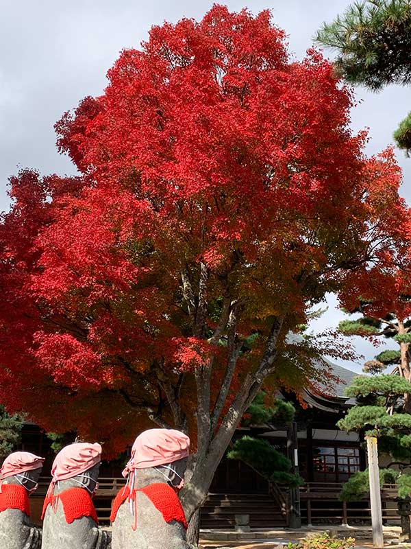 専称寺の紅葉